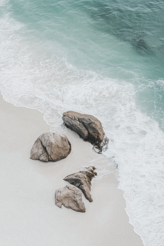 5 Essential Canva Tools Every Beginner Should Know